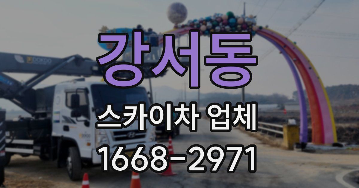 강서동 스카이차 업체