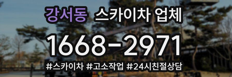 강서동 스카이차 업체
