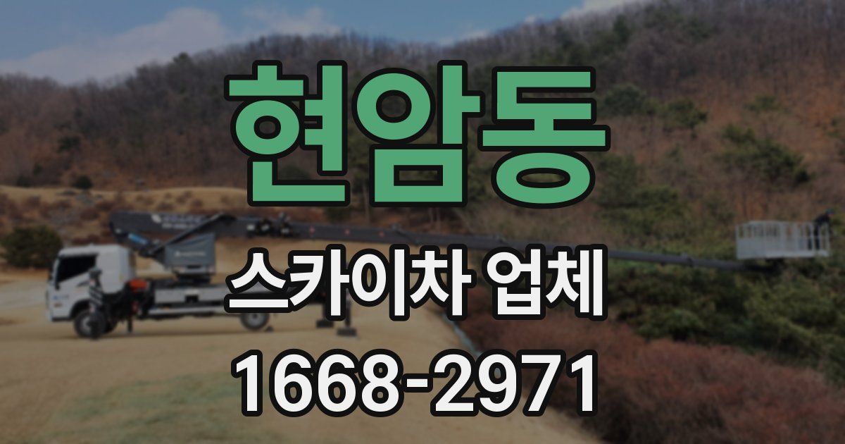 현암동 스카이차 업체