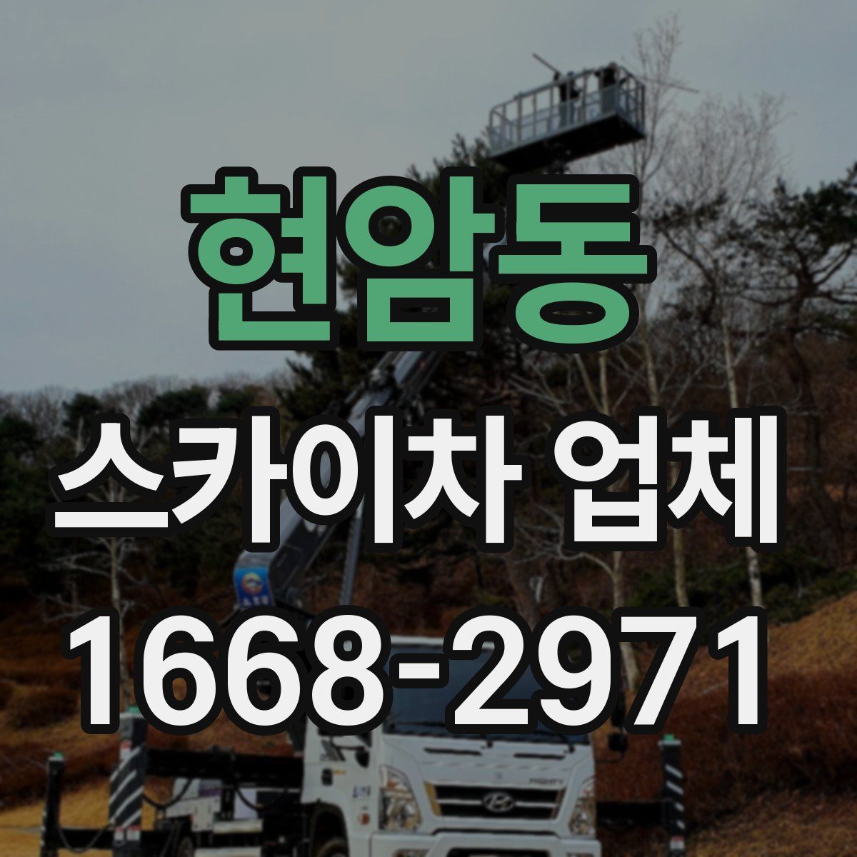 현암동 스카이차 업체