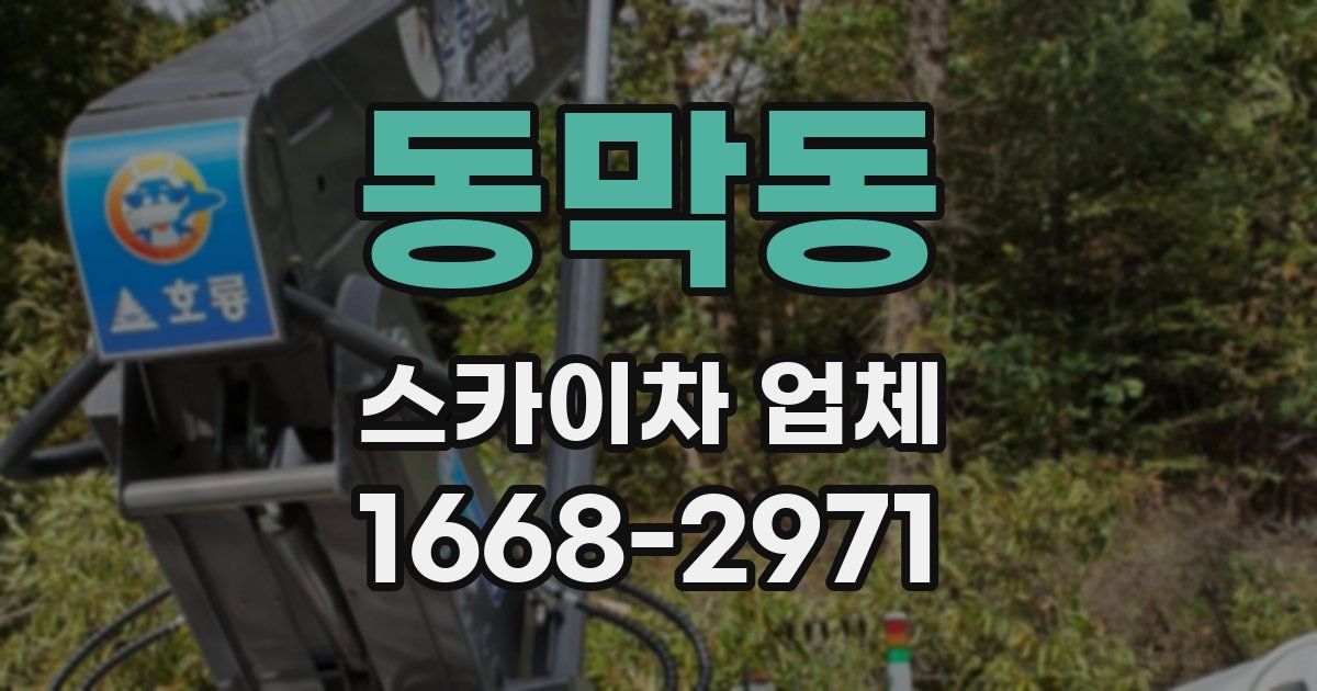 동막동 스카이차 업체
