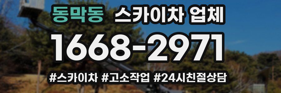 동막동 스카이차 업체