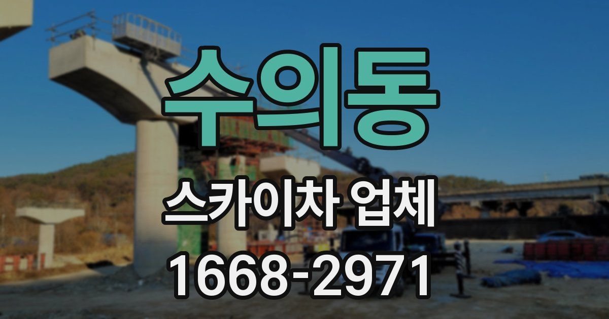수의동 스카이차 업체