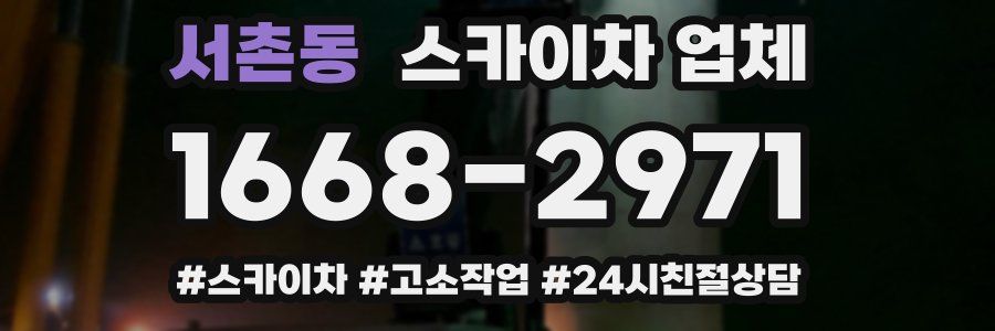 서촌동 스카이차 업체