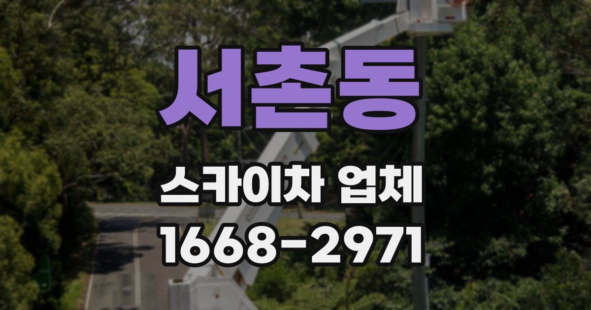 서촌동 스카이차 업체