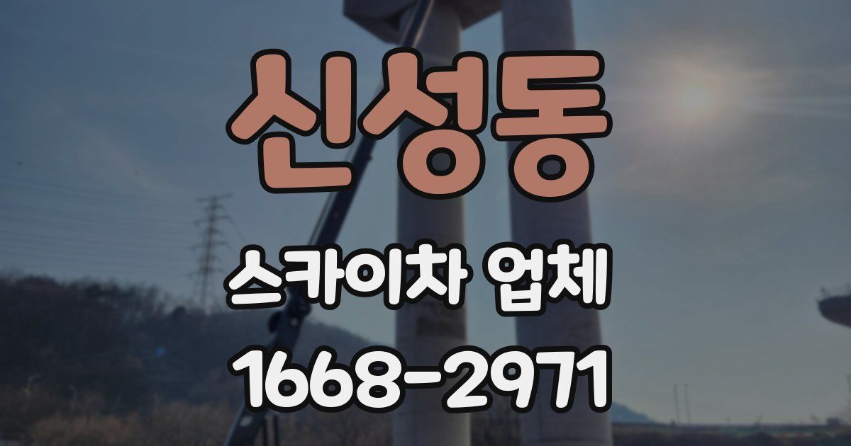 신성동 스카이차 업체