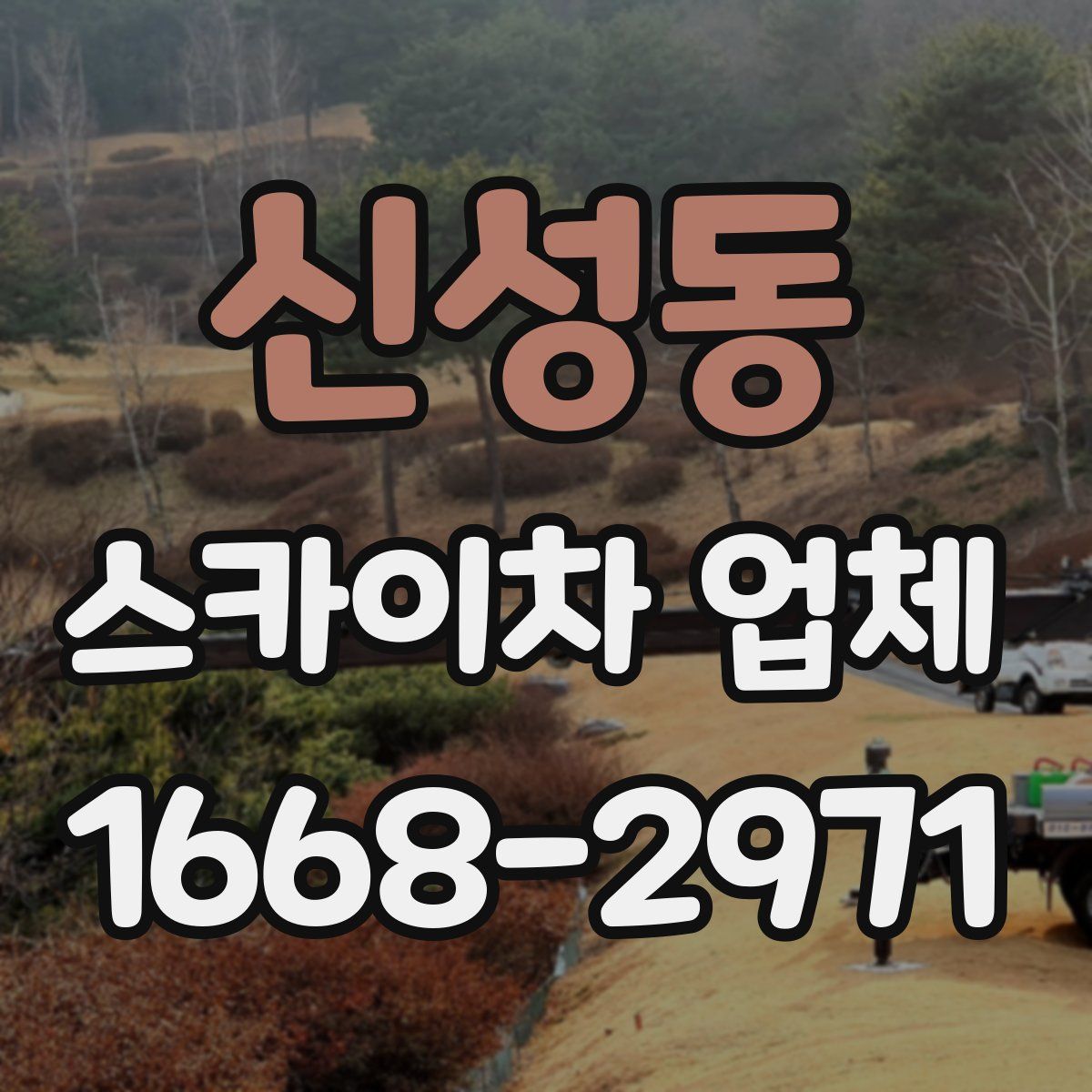 신성동 스카이차 업체
