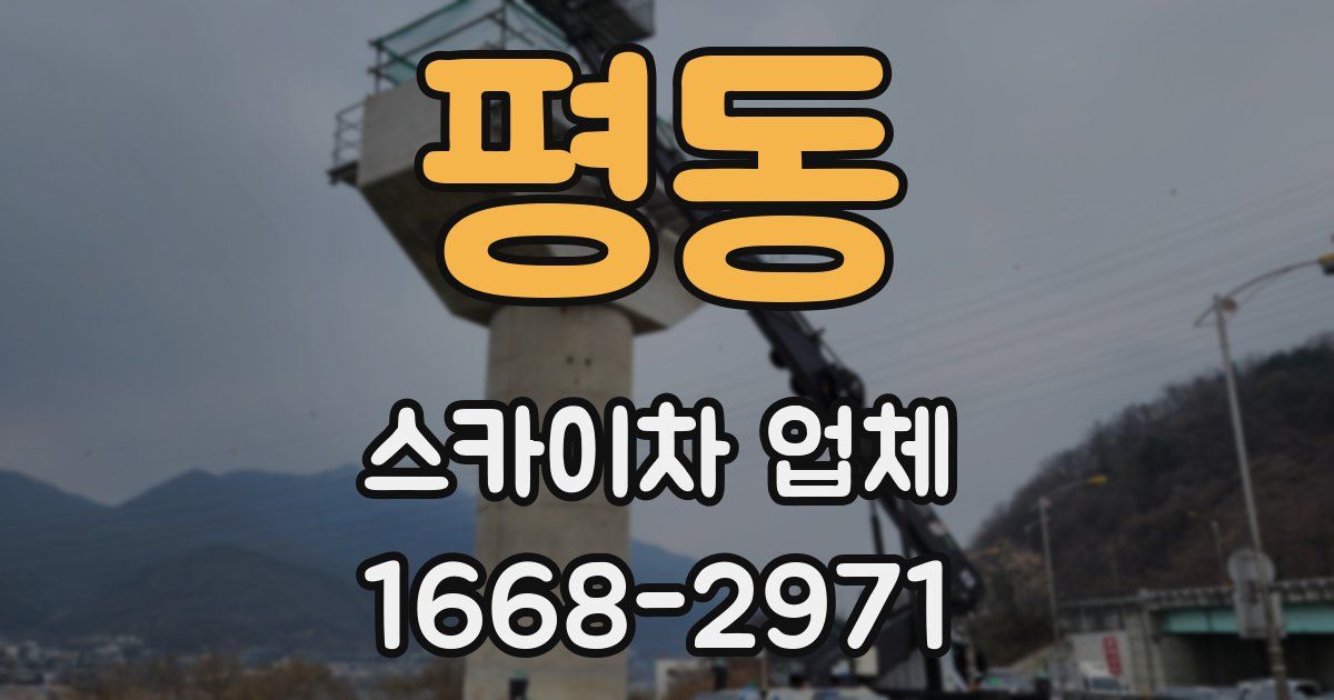 평동 스카이차 업체