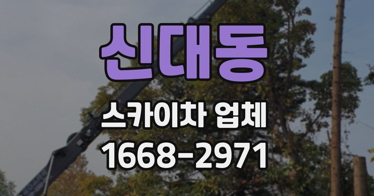 신대동 스카이차 업체
