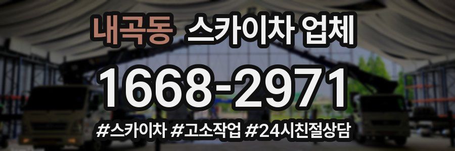 내곡동 스카이차 업체