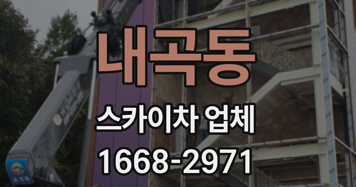 내곡동 스카이차 업체
