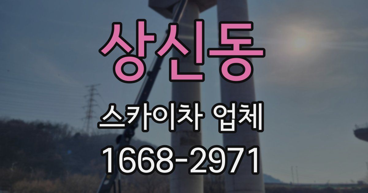 상신동 스카이차 업체