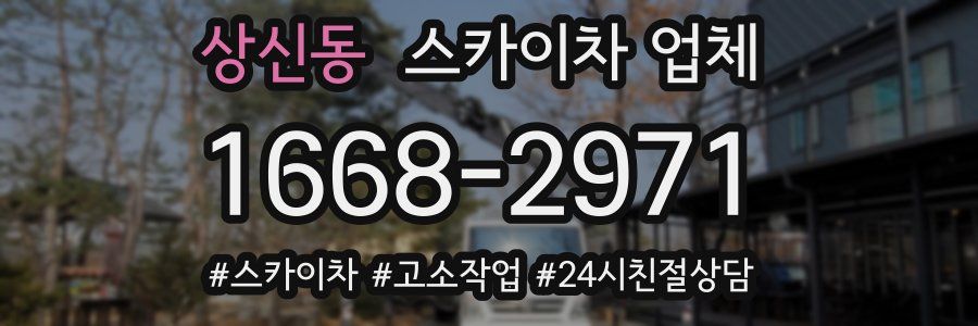 상신동 스카이차 업체
