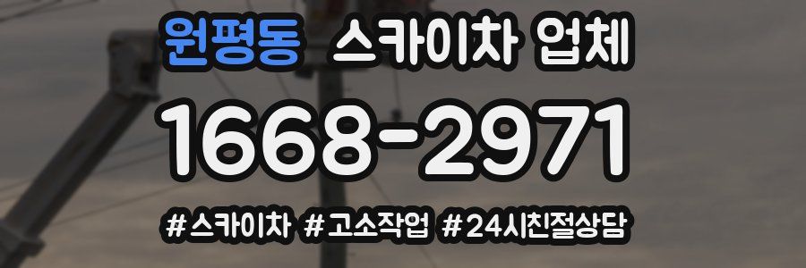 원평동 스카이차 업체