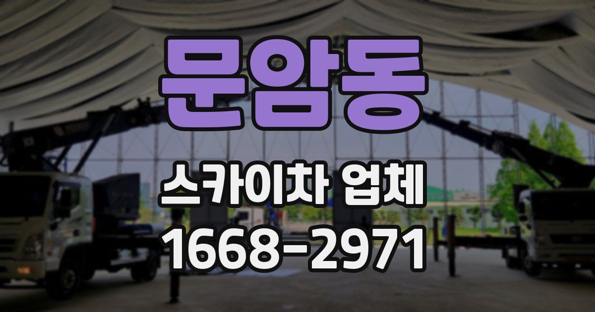 문암동 스카이차 업체