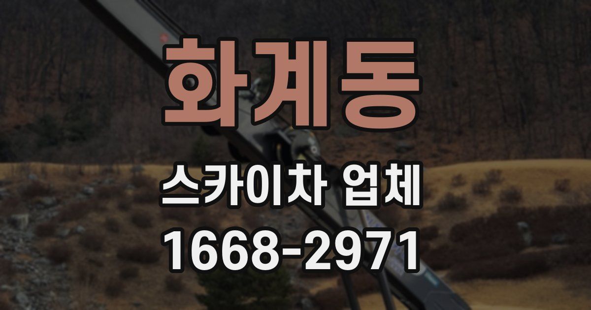 화계동 스카이차 업체