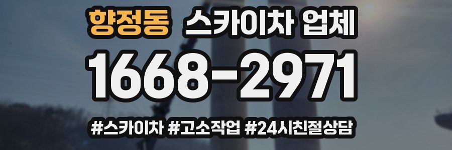 향정동 스카이차 업체