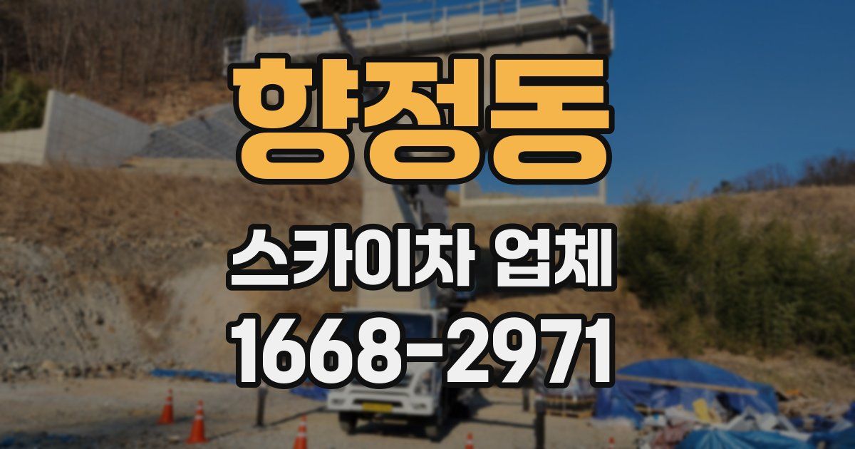 향정동 스카이차 업체