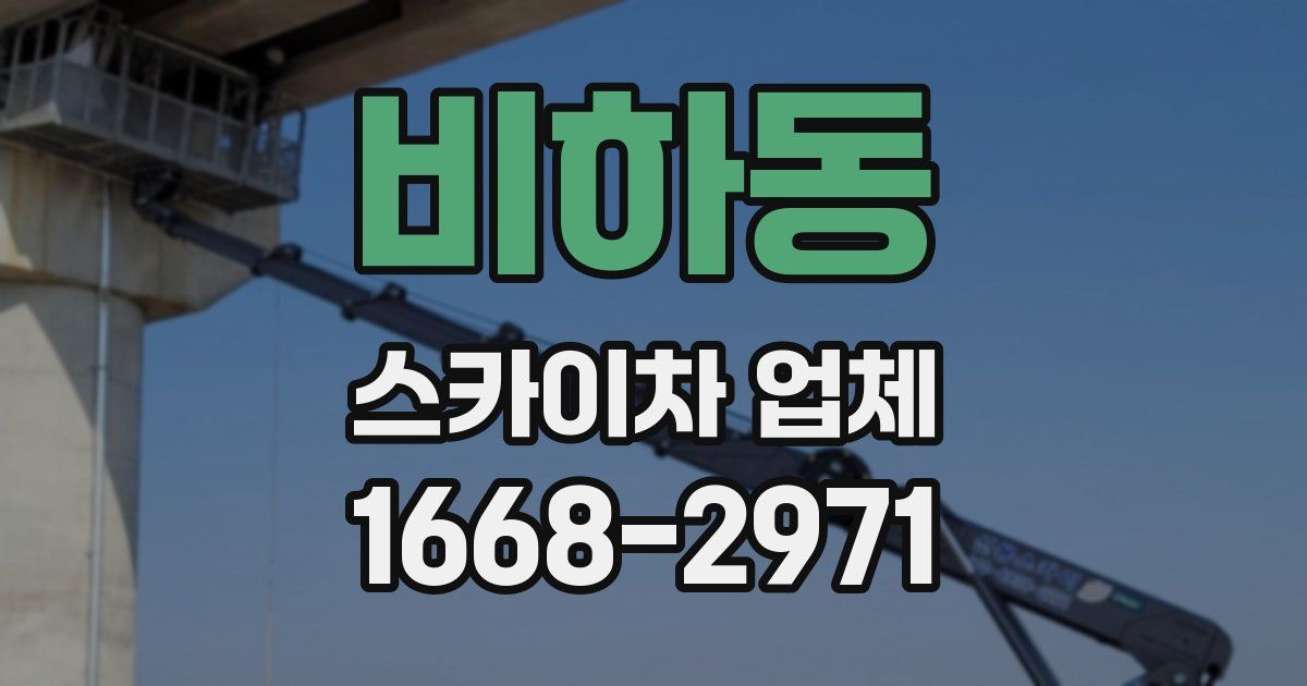 비하동 스카이차 업체