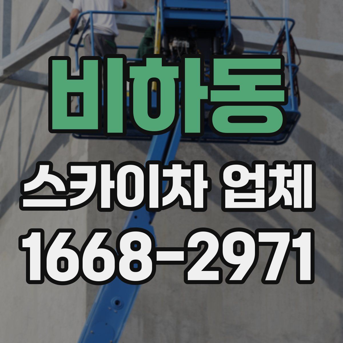 비하동 스카이차 업체