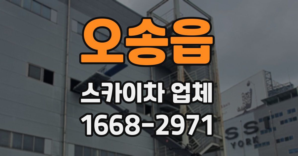 오송읍 스카이차 업체