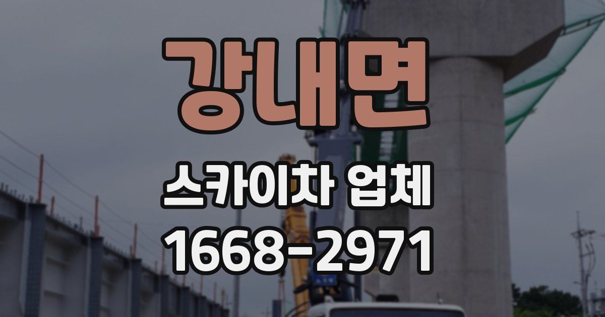 강내면 스카이차 업체
