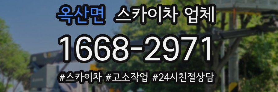 옥산면 스카이차 업체