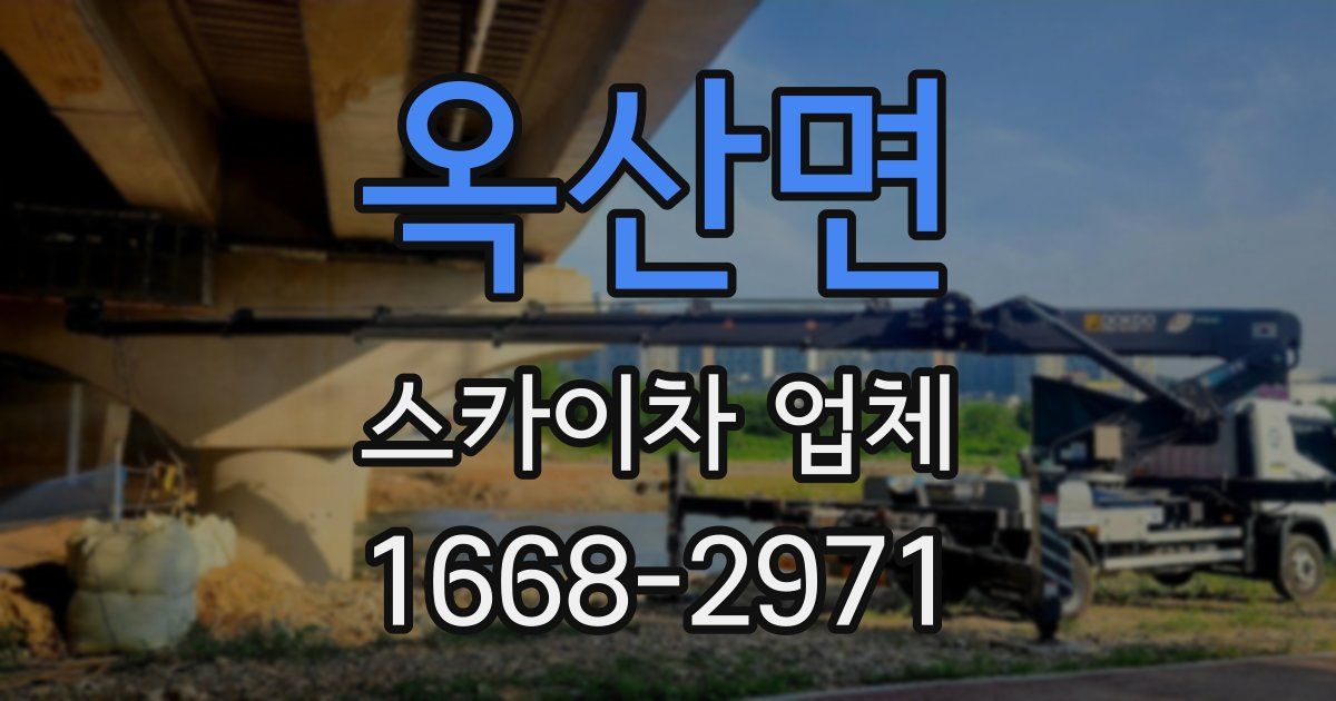 옥산면 스카이차 업체