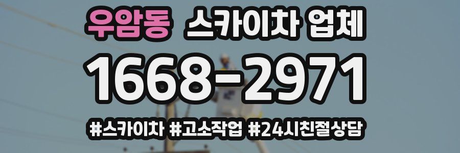 우암동 스카이차 업체
