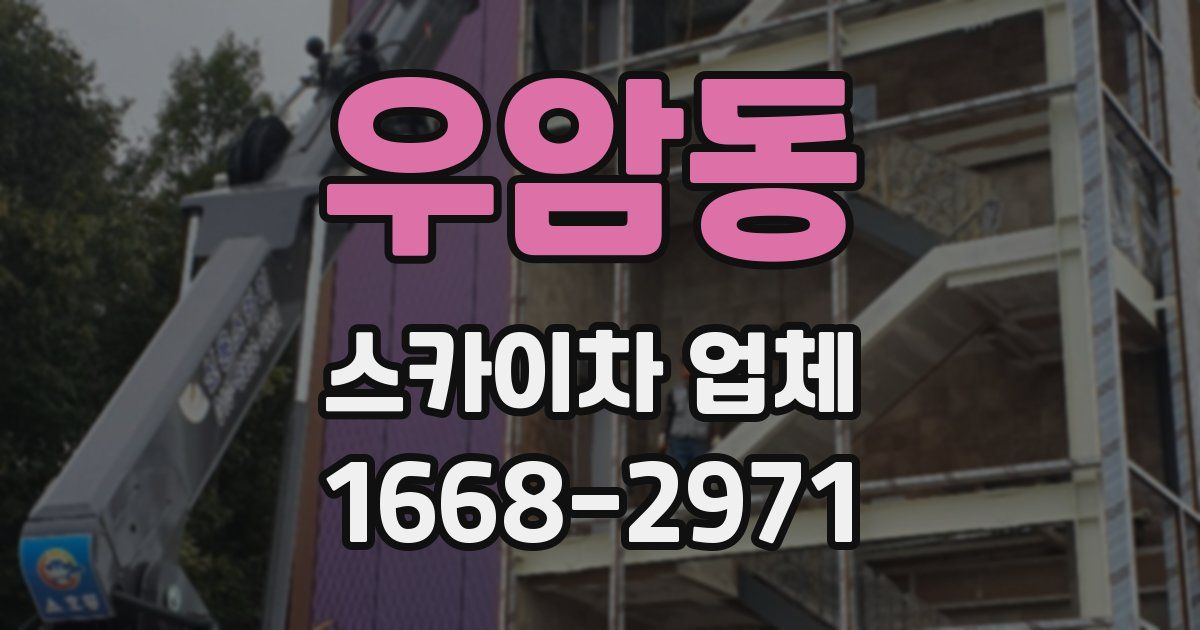 우암동 스카이차 업체