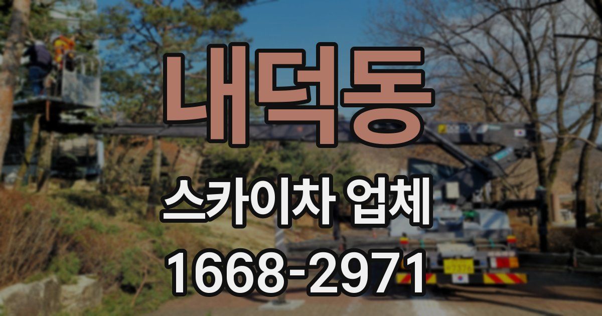 내덕동 스카이차 업체