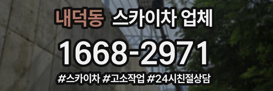 내덕동 스카이차 업체