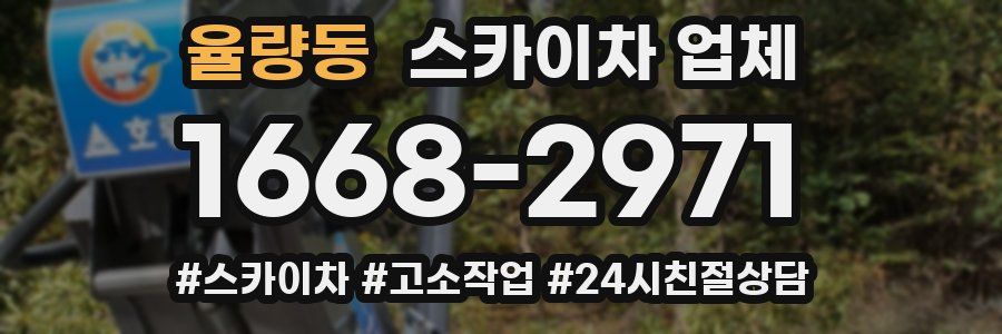 율량동 스카이차 업체