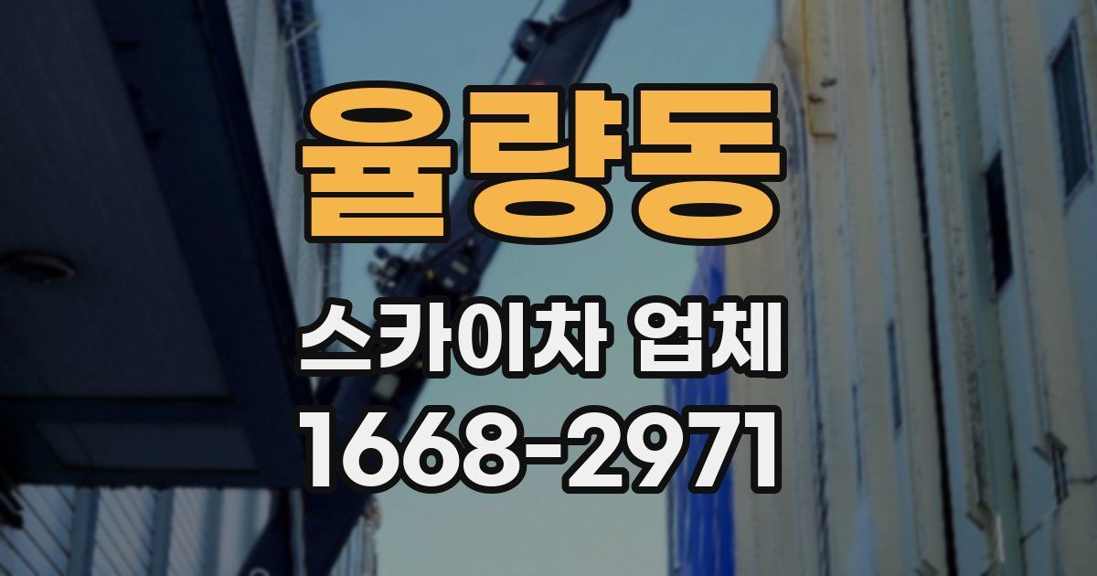 율량동 스카이차 업체