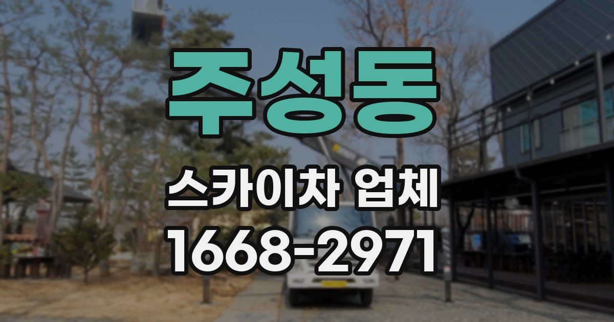 주성동 스카이차 업체