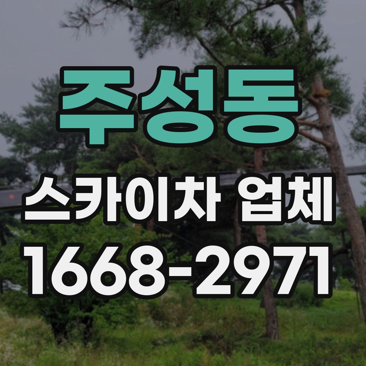 주성동 스카이차 업체