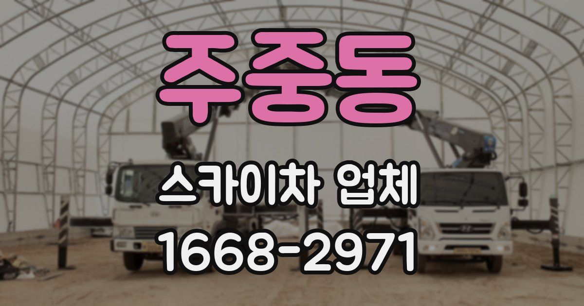 주중동 스카이차 업체