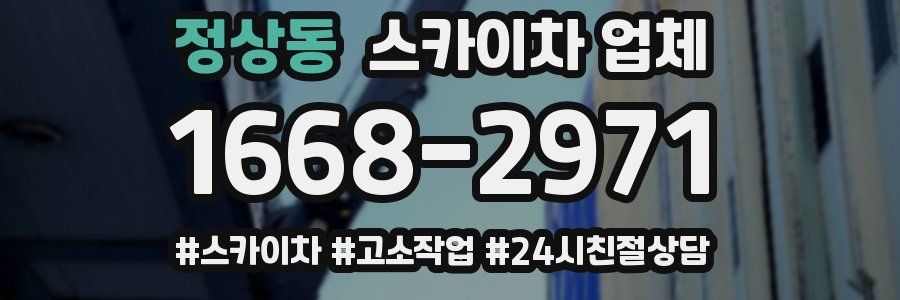 정상동 스카이차 업체