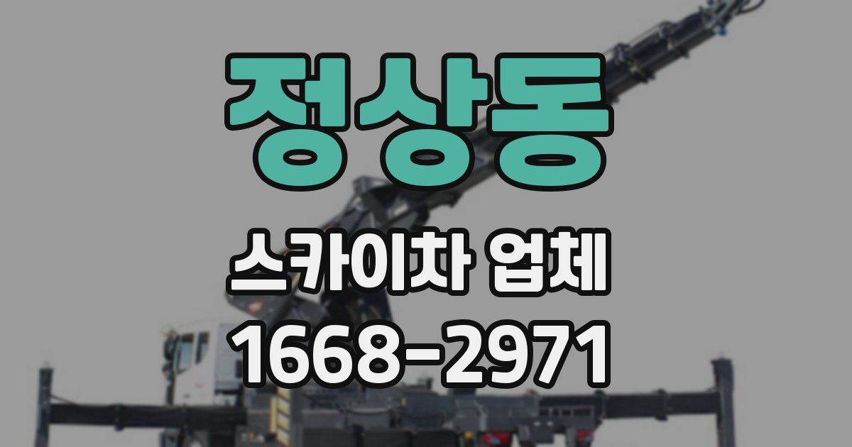 정상동 스카이차 업체