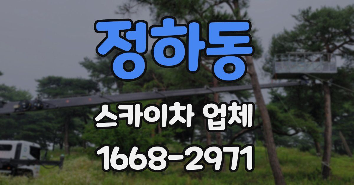 정하동 스카이차 업체