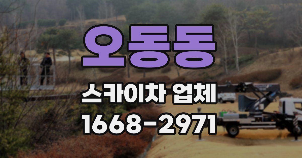 오동동 스카이차 업체