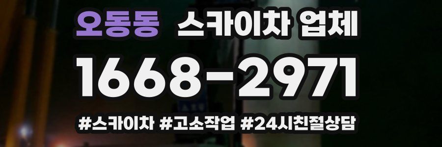 오동동 스카이차 업체