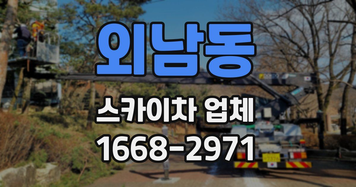 외남동 스카이차 업체