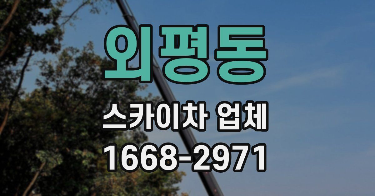 외평동 스카이차 업체