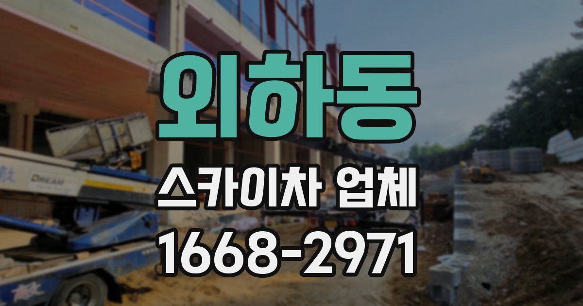외하동 스카이차 업체