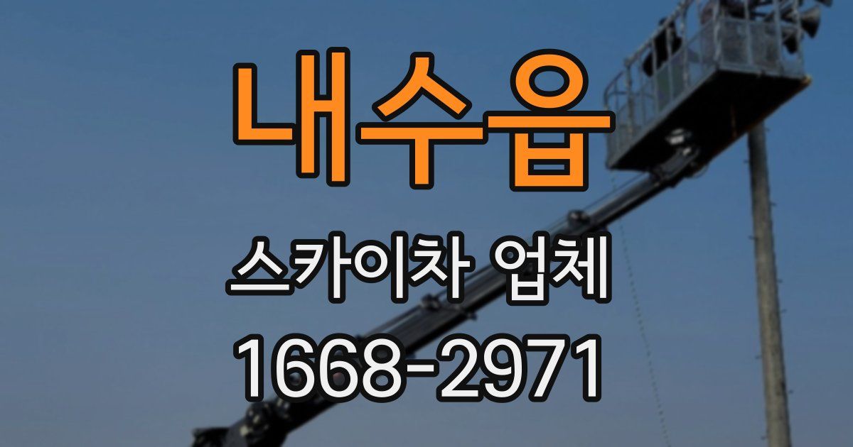 내수읍 스카이차 업체