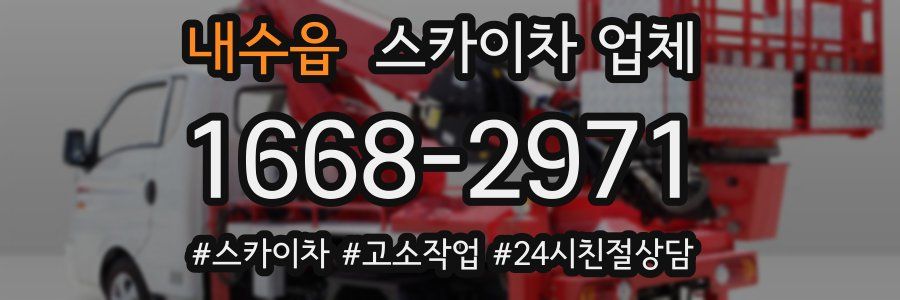 내수읍 스카이차 업체