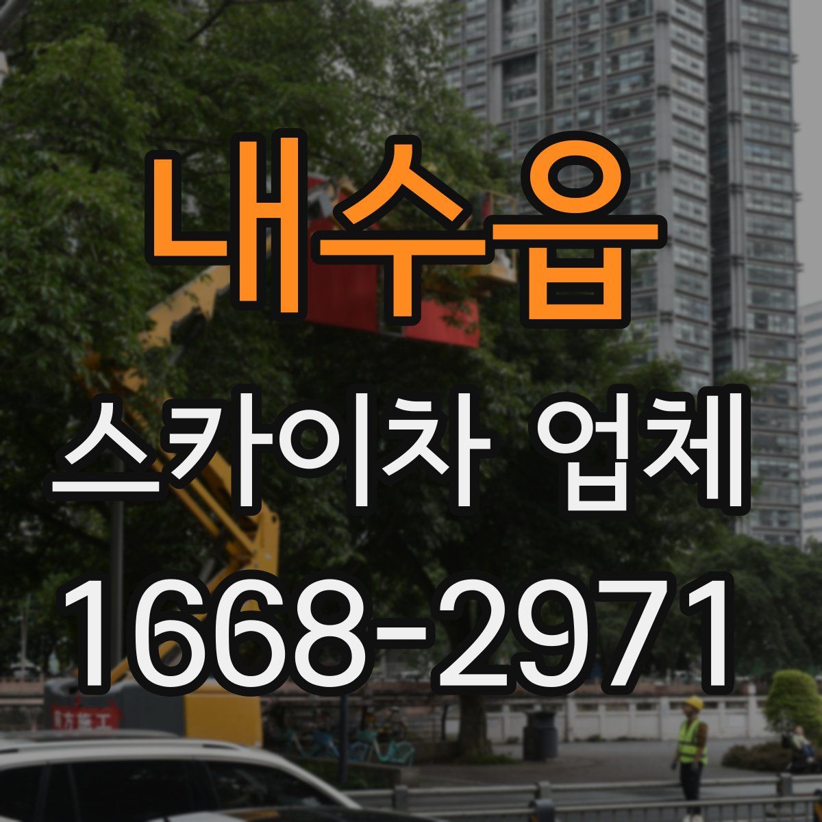 내수읍 스카이차 업체