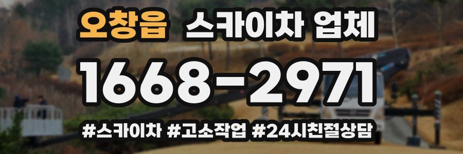 오창읍 스카이차 업체
