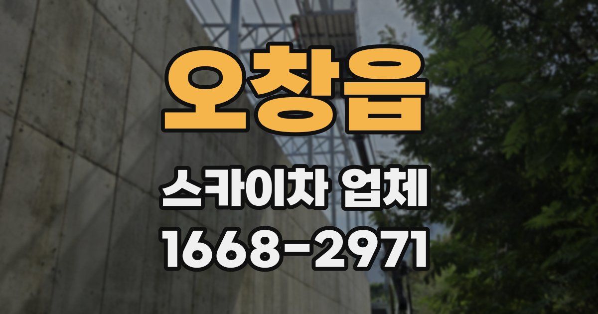 오창읍 스카이차 업체